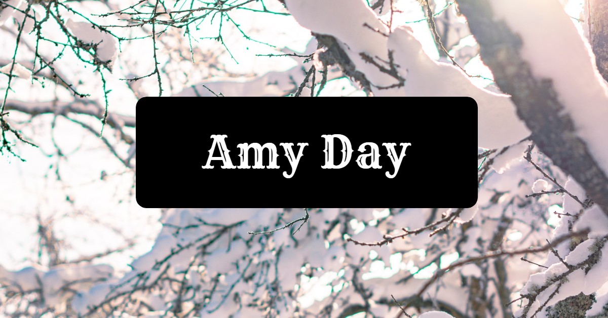 National Amy Day